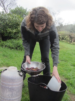 Bronwyn rinses olives