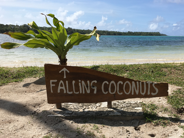 Falling Coconuts on Erakor Island