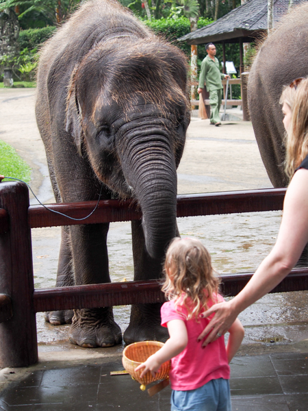 Berrima and a baby elephant
