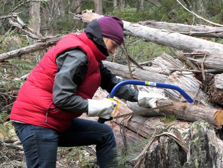 Making good use of the wood pile.