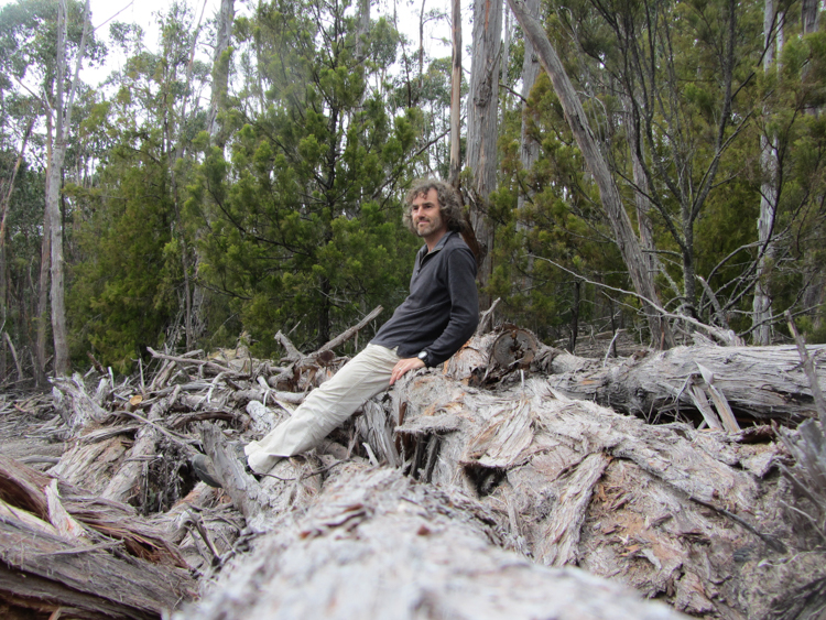 Perched atop just one of our little piles of firewood