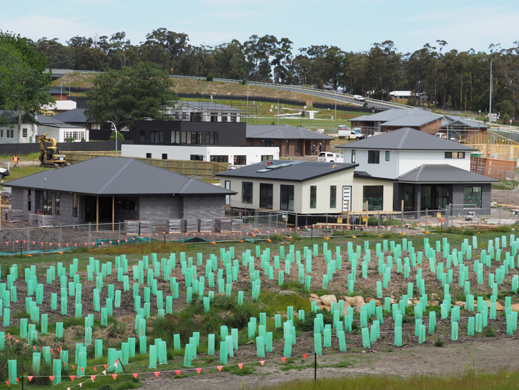 Our house (unpainted, centre), nestled between our new next-door neighbours