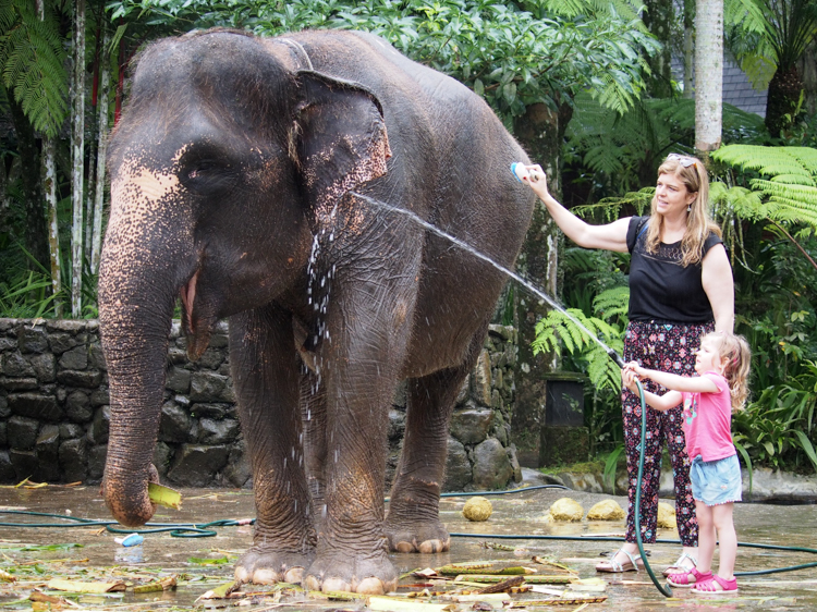 Bronwyn and Berrima wash down an elephant