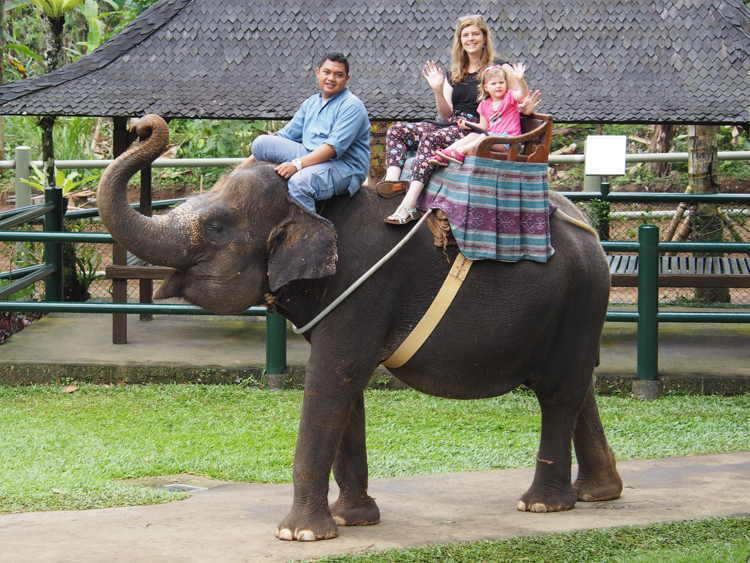 Bronwyn and Berrima ride an elephant