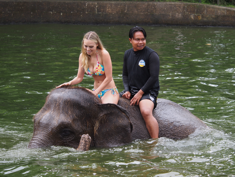 Bikini girl riding an elephant in the water