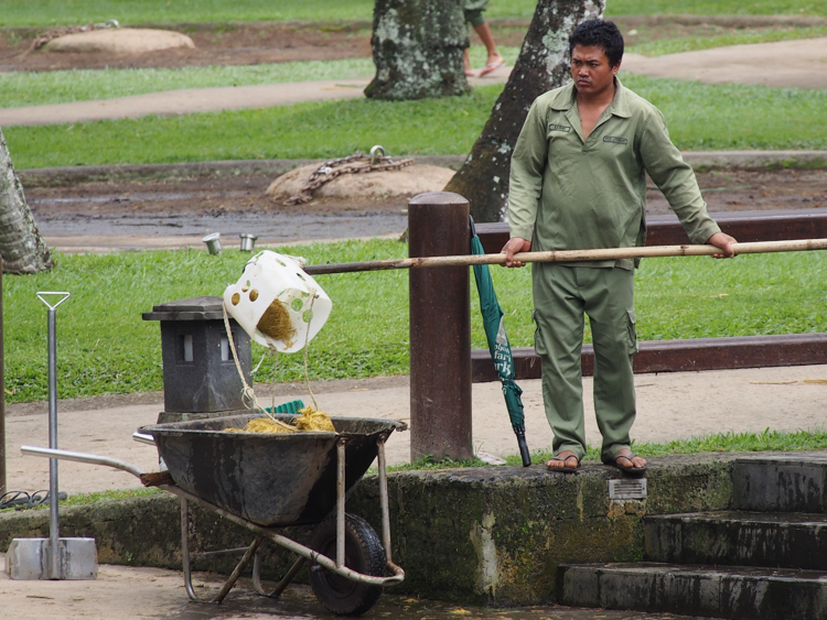 Collecting floating elephant poo