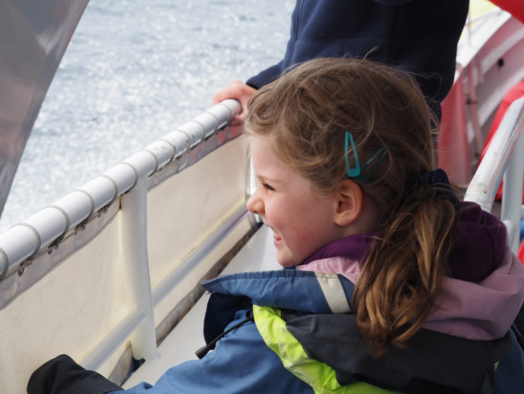 Berrima watching dolphins off Bruny Island