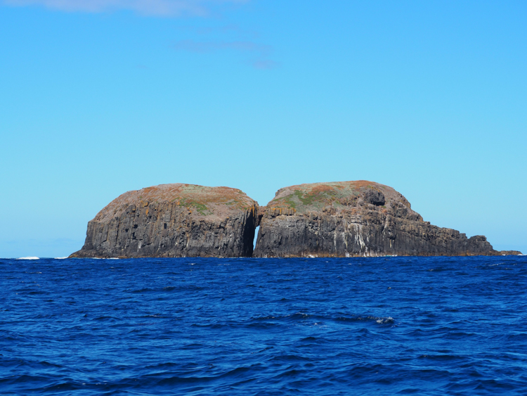 Small island, off Bruny Island