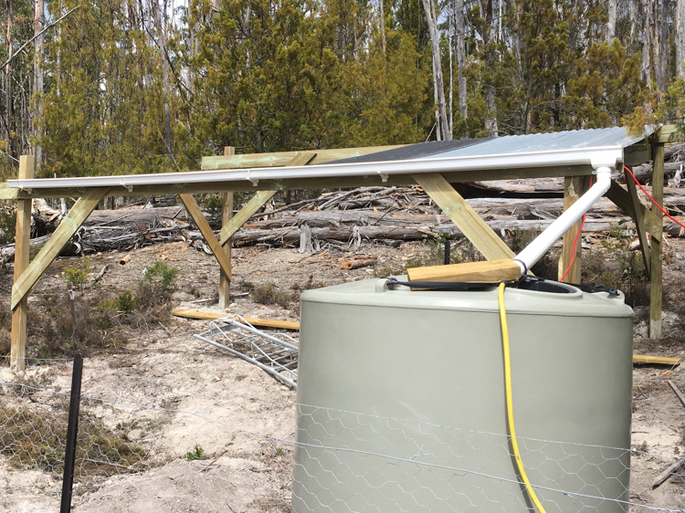 Rain water collection for the irrigation tank