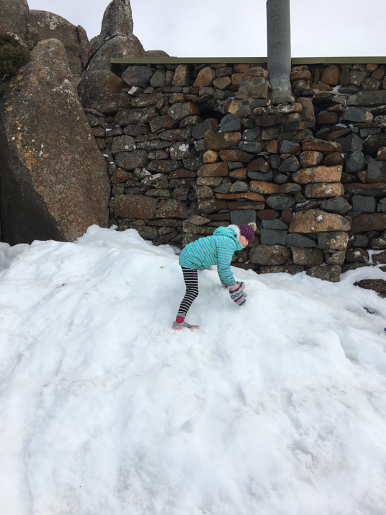 Berrima and the last of the winter snow, at Mt Wellington