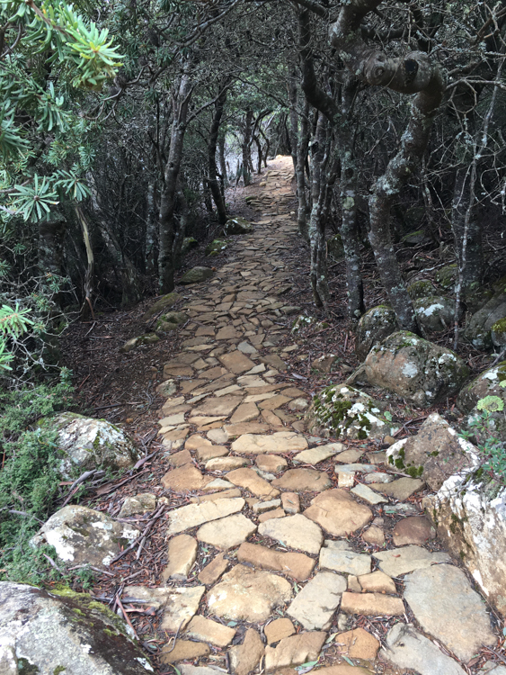 Nice paving along the Organ Pipes Track