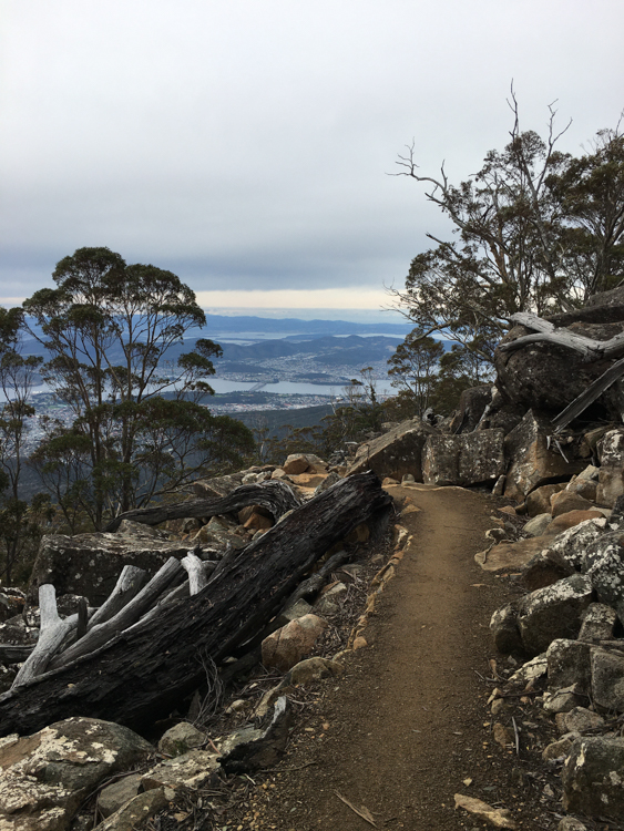 The Organ Pipes Track with views to the South