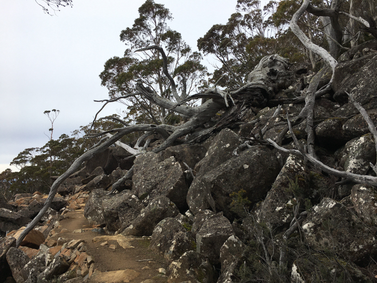 Crossing the landslide on the Organ Pipes Track