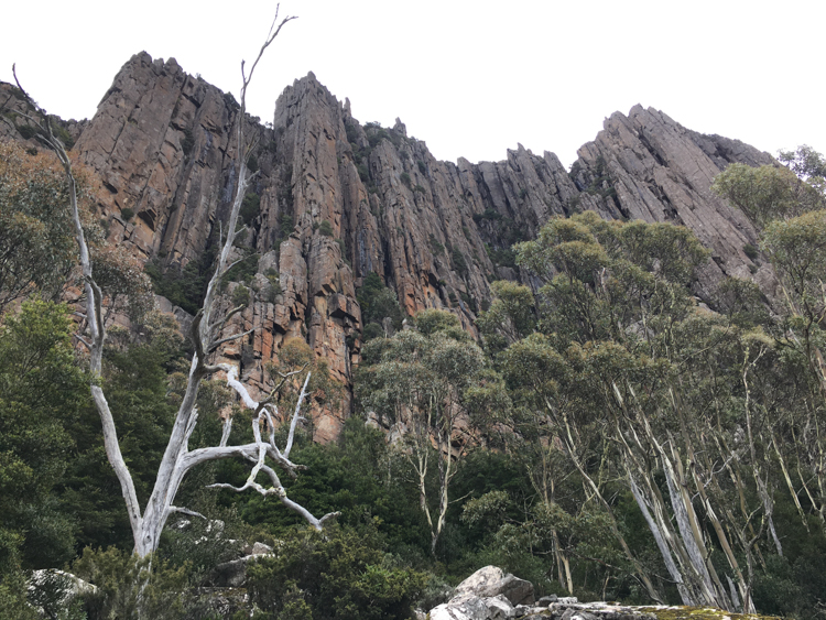 The Organ Pipes