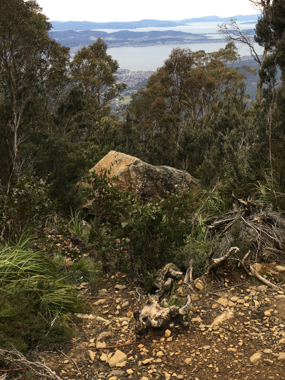 50 tonnes of dolerite on the Organ Pipes Trail