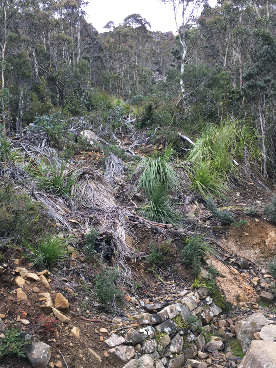 Looking up the scar track