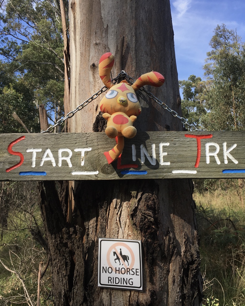 The sign for Start Line Track, Colquhoun Mountain Bike Trail