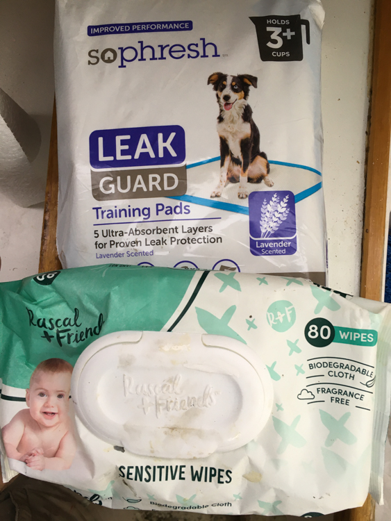 Wet wipes and puppy pads. Great for soaking up oil in the bilges.