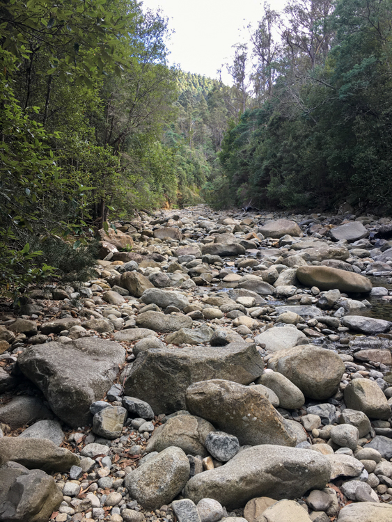 North West Bay River, on the Cathedral Rock Track