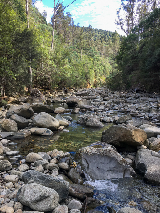 North West Bay River, on the Cathedral Rock Track