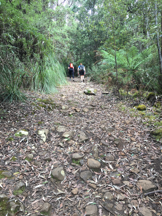 Young people passing me on the Cathedral Rock Track