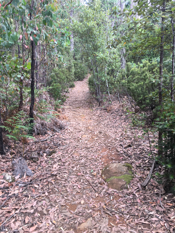 The Cathedral Rock track going up... and up...