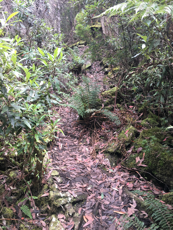 The upper parts of the Cathedral Rock track