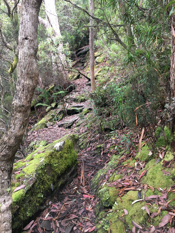 The upper parts of the Cathedral Rock track