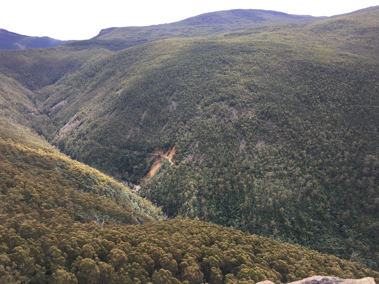 Looking up to the head of the valley