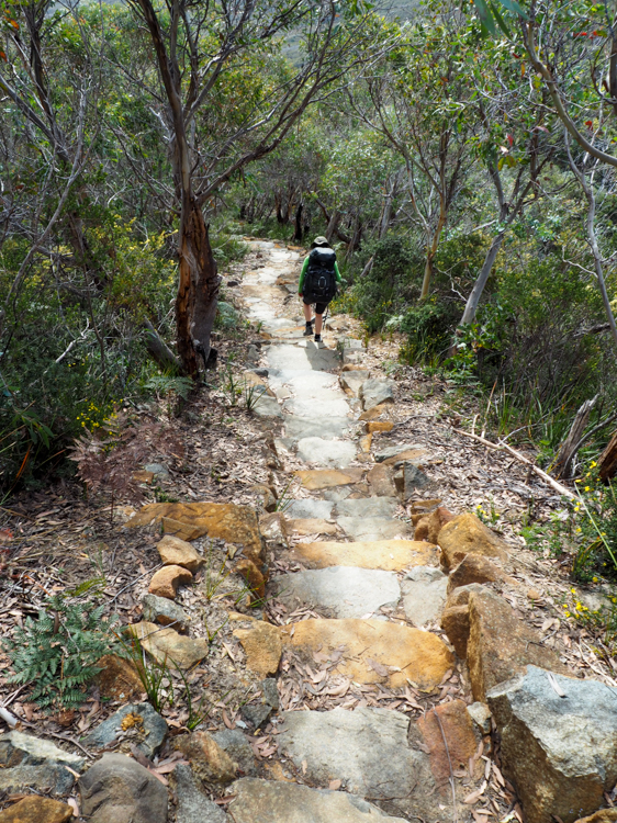 Hiking down the stone steps from Crescent Mountain, on the Three Capes Track