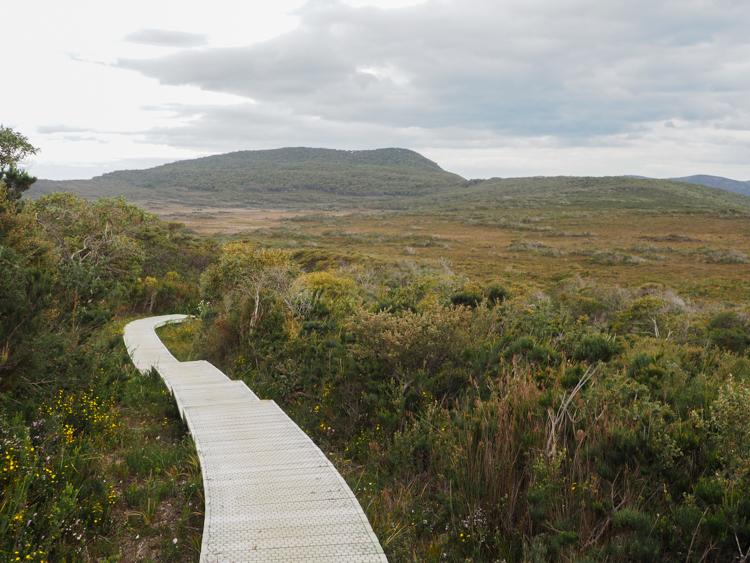 The Three Capes Track boardwalk descends into the Ellarwey Valley