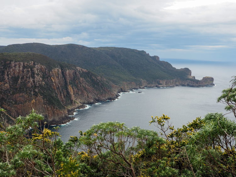 View of Tornado Bay from Tornado Ridge, on the Three Capes Track