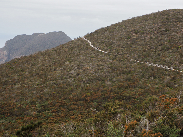 Hurricane Heath, and the boardwalk of the Three Capes Track