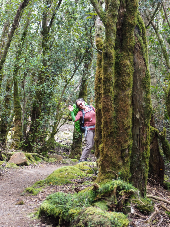 Elizabeth waves from behind a mossy tree on Mount Fortescue