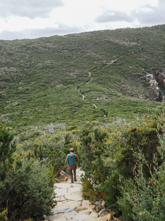 The Cape Hauy Track: Steps down