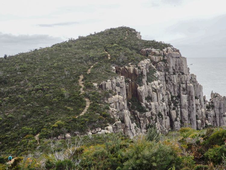 The Cape Hauy Track: Steps up