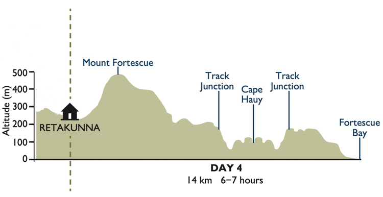 Elevation map for Day Four of the Three Capes Track