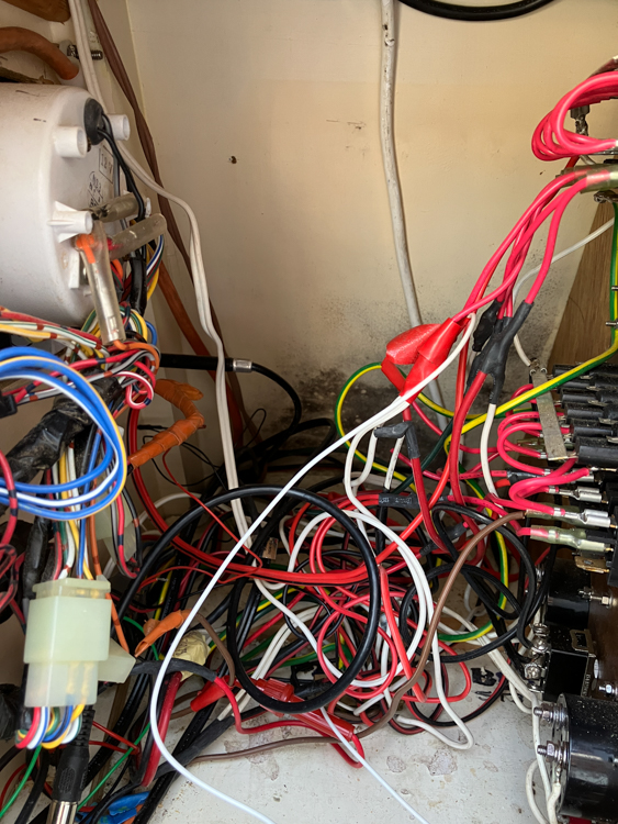 Little things: The old nest of wires