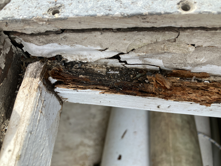 Little things: Rotten wood in the lazarette