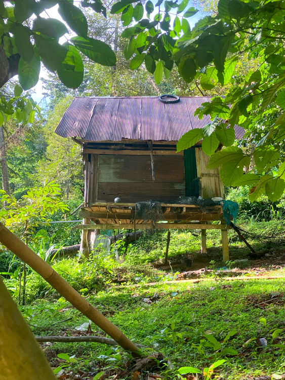 Jungle shack on Ko Yao Noi
