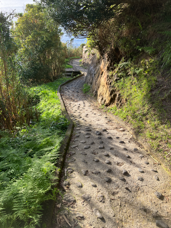 The path to Rocha da Relva