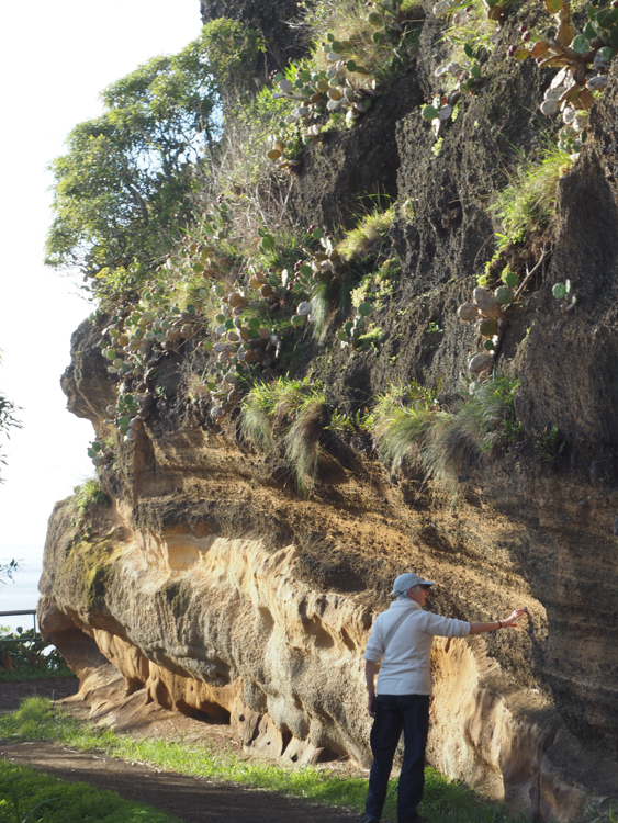 Volcanic tuff at the top of the path to Rocha da Relva