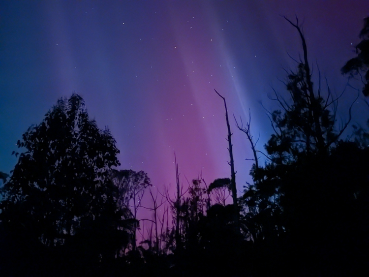 Aurora Australis