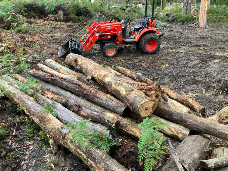 Collecting tree trunks with my tractor