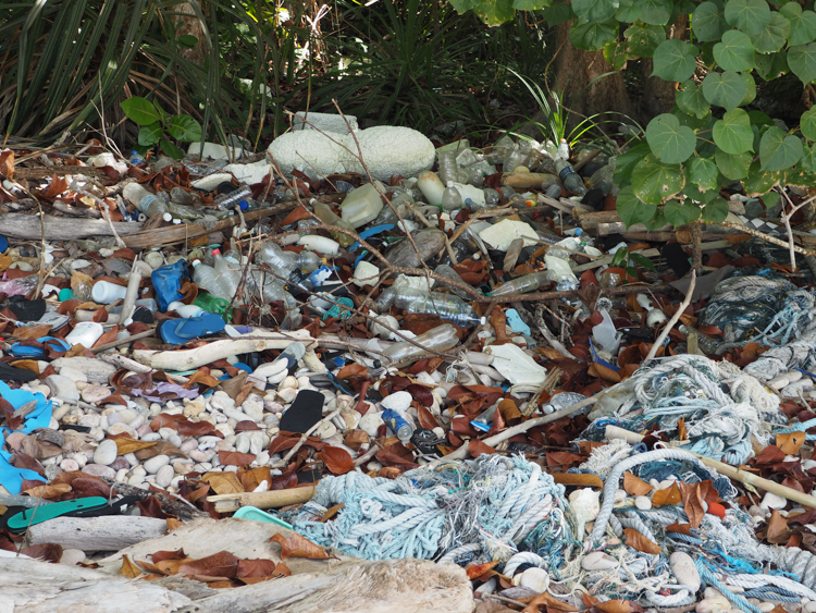 Rubbish on Red Rock Beach