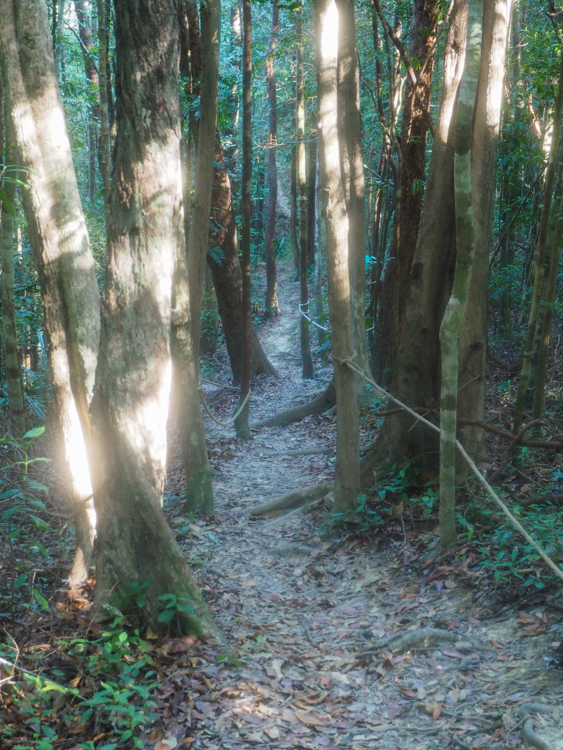 Rope walk down to Red Rock Beach