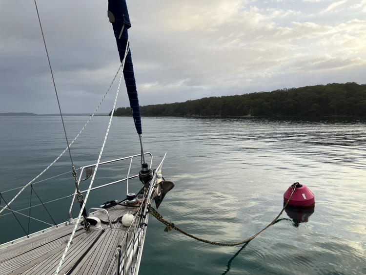 At rest in Darling Road