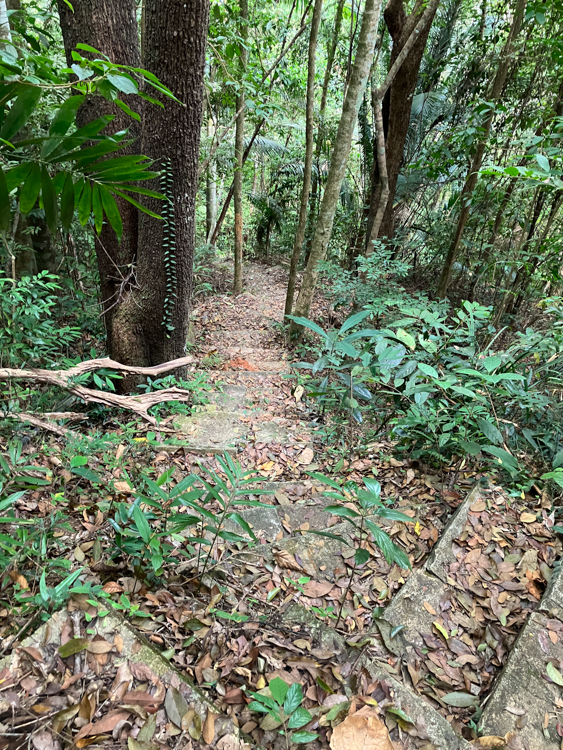 The steps down to Middle Station