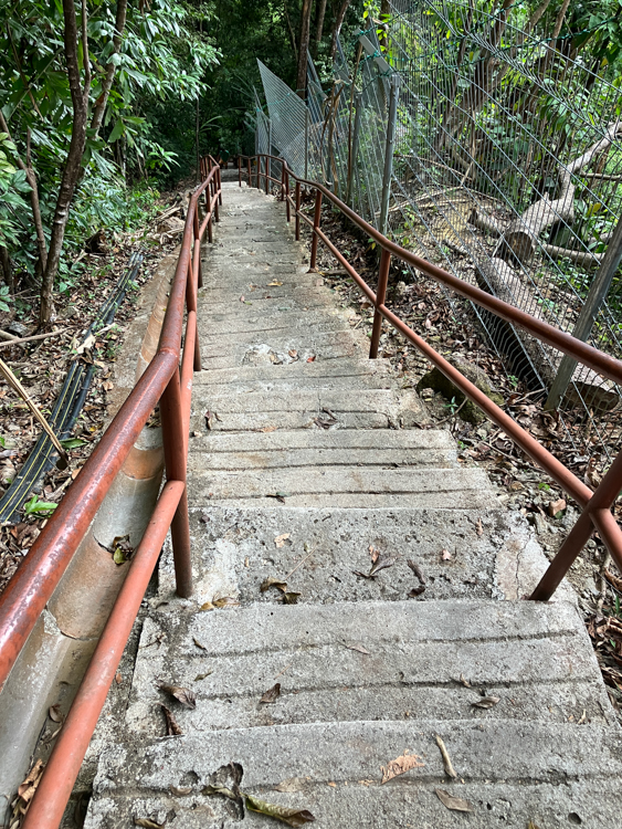 The steps down from Middle Station , Penang Hill