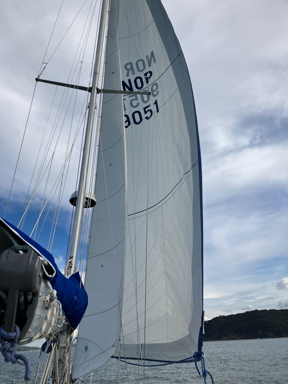 Genoa foresail